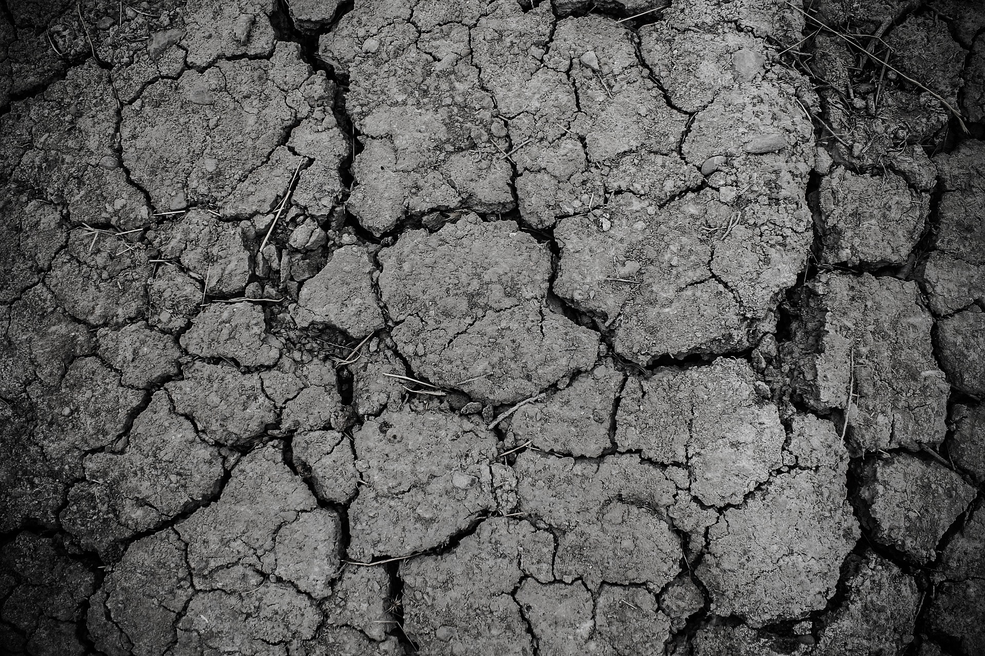 Три мільйони гектарів українських земель знаходяться у зоні критичного дефіциту води